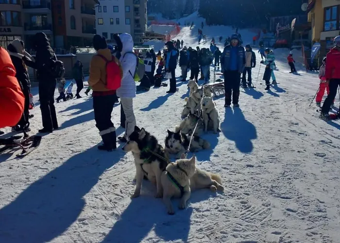 в стената, пампорово *